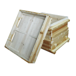 ����鿴��ϸ����