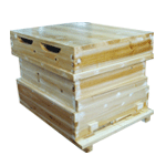 ����鿴��ϸ����