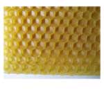 ����鿴��ϸ����