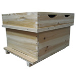 ����鿴��ϸ����