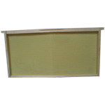 ����鿴��ϸ����